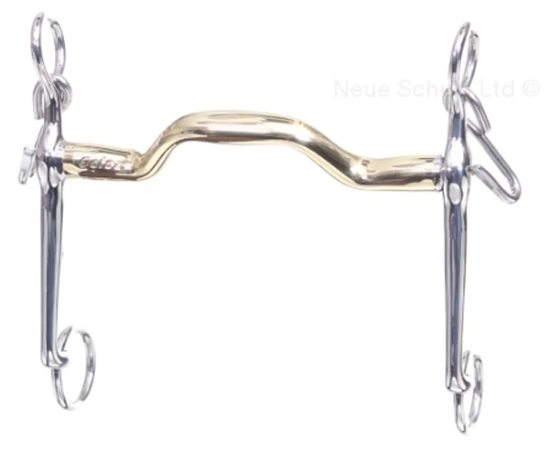 Neue Schule Forward Port Weymouth